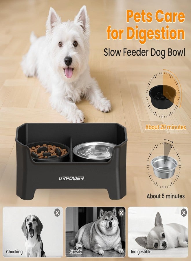 UR باور مجموعة أوعية طعام وماء للكلاب من يورباور، مقاومة للفوضى، قابلة لتعديل الارتفاع، مع حامل مرتفع، تتضمن وعاءين من الفولاذ المقاوم للصدأ ووعاء واحد مانع للانزلاق، مناسبة للكلاب الصغيرة والمتوسطة الحجم. - Image 5